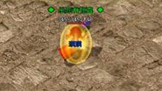 ����˽���￪С��Ӧ��ѡ�ĸ�ְҵ
