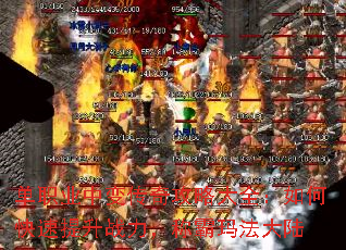 ��ְҵ�б䴫�湥�Դ�ȫ����ο�������ս�����ư��귨��½
