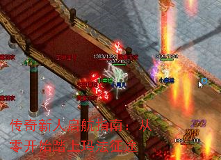 ������������ָ�ϣ����㿪ʼ̤���귨��;