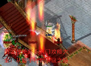 ���ߴ����������Ź��Դ�ȫ�������ִ嵽����֮·