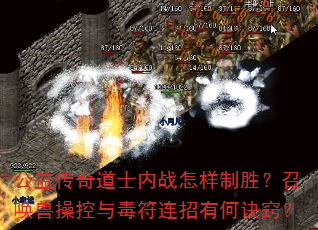 ���洫���ʿ��ս������ʤ���ٻ��޲ٿ��붾�������кξ��ϣ�
