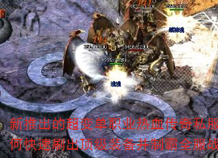 ���Ƴ��ĳ��䵥ְҵ��Ѫ����˽������ο���ˢ������װ�����ư�ȫ��ս����