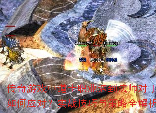 ������Ϸ�е�ʿְҵ������ʦ���ָ����Ӧ�ԣ�ʵս���������ȫ������