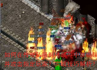 ����ڴ���˽��Ⱥ��ս����׼ȷ����������ָ����ң�ʵս���ɽ�����