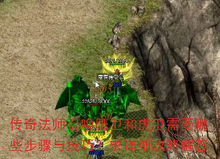 ���淨ʦ�ٻ�ӥ���ͻ�����Ҫ��Щ�����뼼�ɣ�����ϸ���Խ��