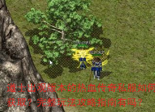 ��ʿ���۰汾����Ѫ����˽����λ�ȡ�������淨����ָ������