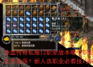 ��Ѫ����˽��12ְҵ�汾�ĸ�ְҵ�ۺ�ʵ����ǿ������ѡְҵ�ؿ����ɽ�����