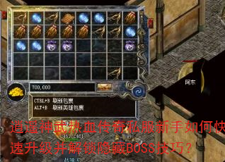 ��ң������Ѫ����˽��������ο�����������������BOSS���ɣ�