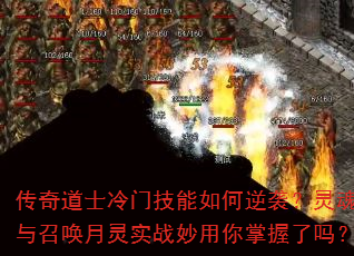 �����ʿ���ż��������Ϯ�����ǽ���ٻ�����ʵս��������������
