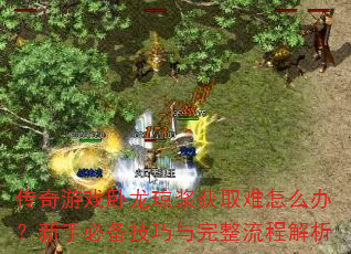 ������Ϸ����������ȡ����ô�죿���ֱر��������������̽���