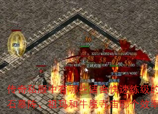 ����˽��������Щ�ʺϿ��������ĵ�ͼ��ʯĹ�������ţħ�����ĸ�Ч�ʸ��ߣ�