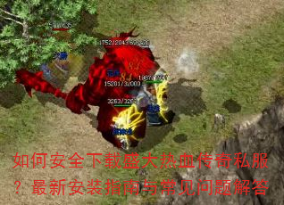 ��ΰ�ȫ����ʢ����Ѫ����˽�������°�װָ���볣��������