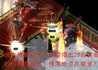 ��ʧ������Ϸ���ܹ�����20��װ���Ĺ�������Щ������ص������