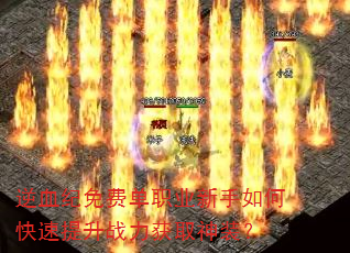 ��Ѫ����ѵ�ְҵ������ο�������ս����ȡ��װ��