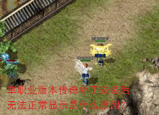 ��ְҵ�汾���油����װ���޷�������ʾ��ʲôԭ��