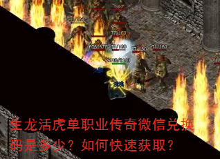 �������ְҵ����΢�Ŷһ����Ƕ��٣���ο��ٻ�ȡ��