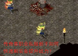 ���浥ְҵ˽��������ο���ˢװ������ս����