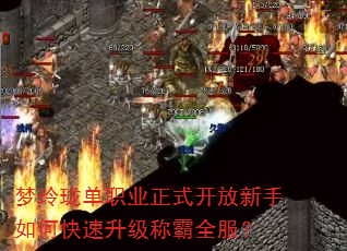 �����絥ְҵ��ʽ����������ο��������ư�ȫ����