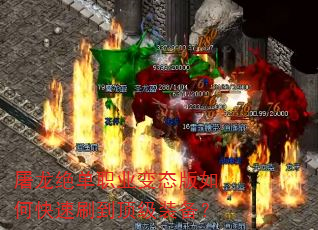 ��������ְҵ��̬����ο���ˢ������װ����