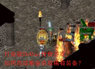 ����5h4hai������Ϸ��θ�Чˢ���ȡϡ��װ����