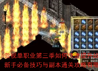 ���ӵ�ְҵ��������ο�������ս�������ֱر������븱��ͨ�ع�������Щ��