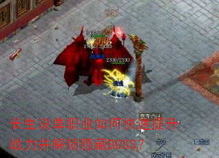 ��������ְҵ��ο�������ս������������BOSS��