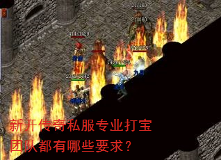 �¿�����˽��רҵ���ŶӶ�����ЩҪ��