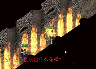 ѡ���ʿ�����ʲô������