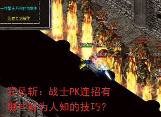 ���ն��սʿPK��������Щ��Ϊ��֪�ļ��ɣ�