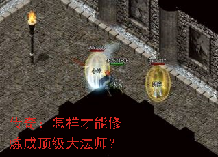 ���棺�������������ɶ�����ʦ��