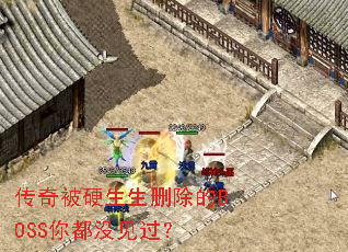 ���汻Ӳ����ɾ����BOSS�㶼û������