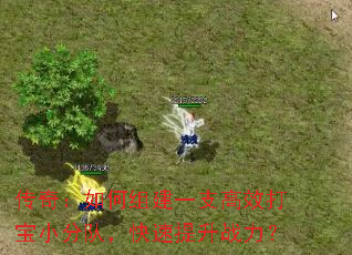 ���棺����齨һ֧��Ч��С�ֶӣ���������ս����