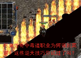 ������ж���ְҵΪ��ǿ�����ף���Щ���켼�����Թ�����
