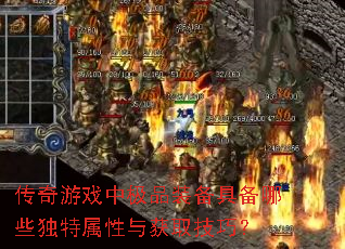 ������Ϸ�м�Ʒװ���߱���Щ�����������ȡ���ɣ�