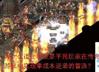 Ϊʲô��ʿְҵ��ƽ������ڴ�����Ϸ��ʵ����ɱ���Ϯ����ѡ��