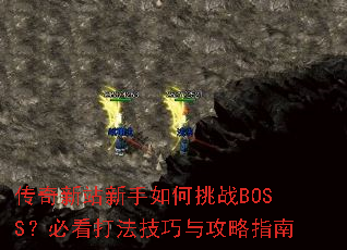 ������վ���������սBOSS���ؿ��򷨼����빥��ָ��