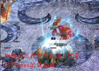 �������ڴ���˽������������boss�ĳɹ��ʣ�