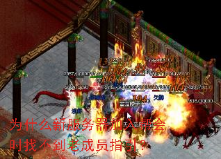 Ϊʲô�·�����������ʱ�Ҳ����ϳ�Աָ����