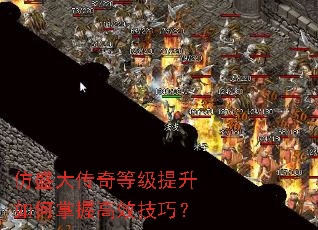 ��ʢ����ȼ�����������ո�Ч���ɣ�