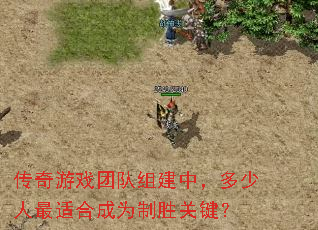 ������Ϸ�Ŷ��齨�У����������ʺϳ�Ϊ��ʤ�ؼ���