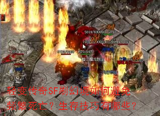 ��䴫��SFˢ�þ���α���Ƶ�����������漼������Щ��