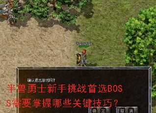 ������ʿ������ս��ѡBOSS��Ҫ������Щ�ؼ����ɣ�