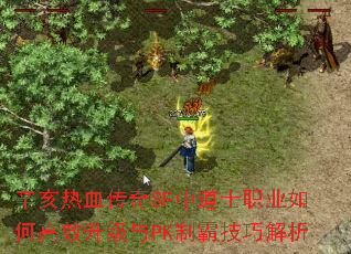 ������Ѫ����SF�е�ʿְҵ��θ�Ч������PK�ưԼ��ɽ���