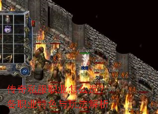 ����˽��ְҵ��ôѡ����ְҵ��ɫ���淨����