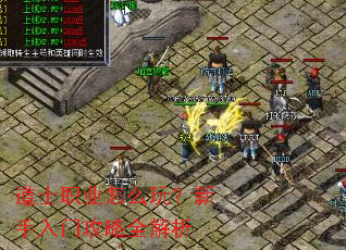 ��ʿְҵ��ô�棿�������Ź���ȫ����