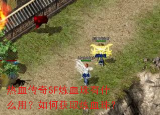 ��Ѫ����SF��Ѫ����ʲô�ã���λ�ȡ��Ѫ�飿