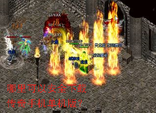 ������԰�ȫ���ش����ֻ������棿
