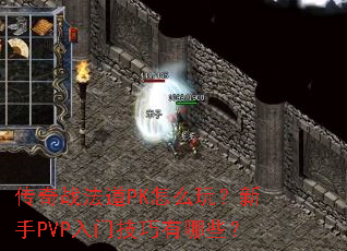 ����ս����PK��ô�棿����PVP���ż�������Щ��