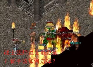 սʿ��ʦ��ʿ˭��ǿ�����ָ����ѡ��