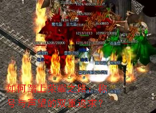 ���̤����ҫ֮·���ƺ���������˫��׷��